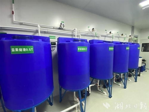 城市農業新探索 武漢發電廠與玻璃鋼生物除臭箱的共生氣象